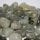 Prehnite Polished Crystal Tumbles