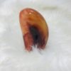 Carnelian Freeform Crystal - 3.5" - Image 2