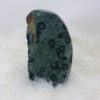 Half Polished Kambaba Jasper Freeform Crystal - 6.25" - Image 2