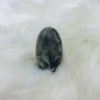 Labradorite Vulva Carving - 2" - Image 3