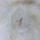 Clear Quartz Crystal Point - 3.25"